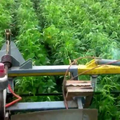 Lasco Lightning Weeder